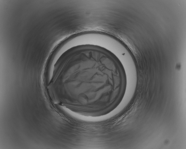 X0000116870583201001191724