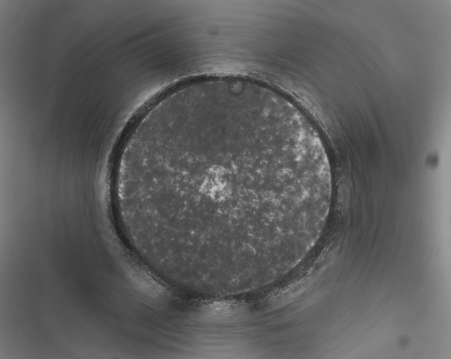 X0000116870584201001191724