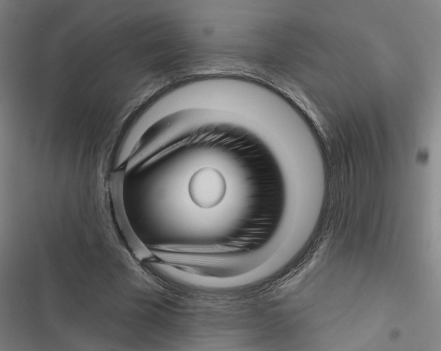 X0000116870585201001191724