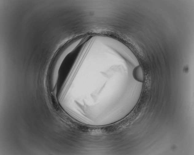 X0000116870587201001191724