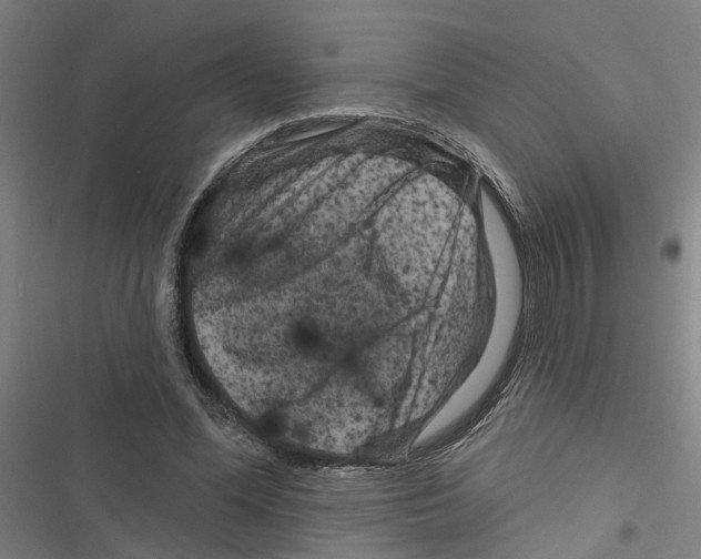 X0000116870588201001191724