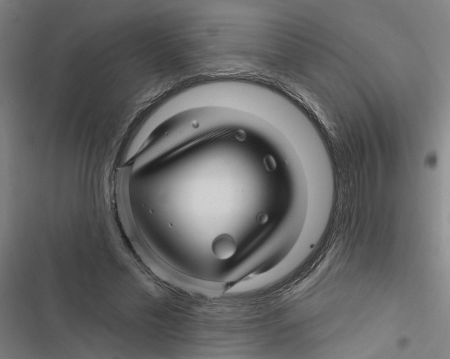 X0000116870589201001191724