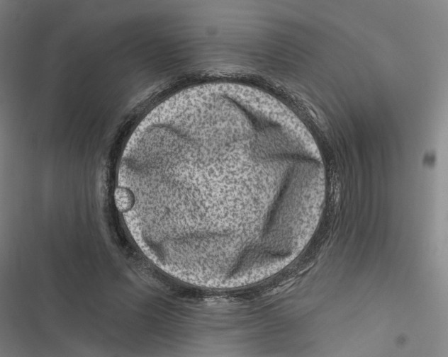 X0000116870591201001191724