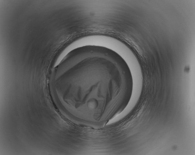 X0000116870593201001191724