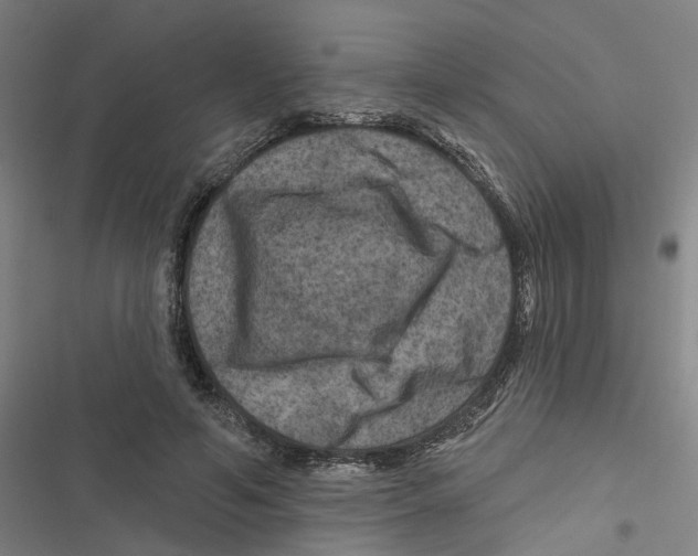 X0000116870594201001191724