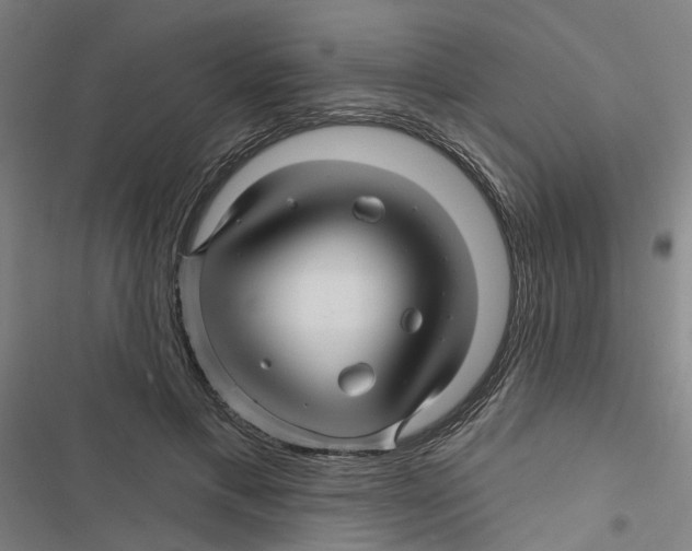 X0000116870597201001191724