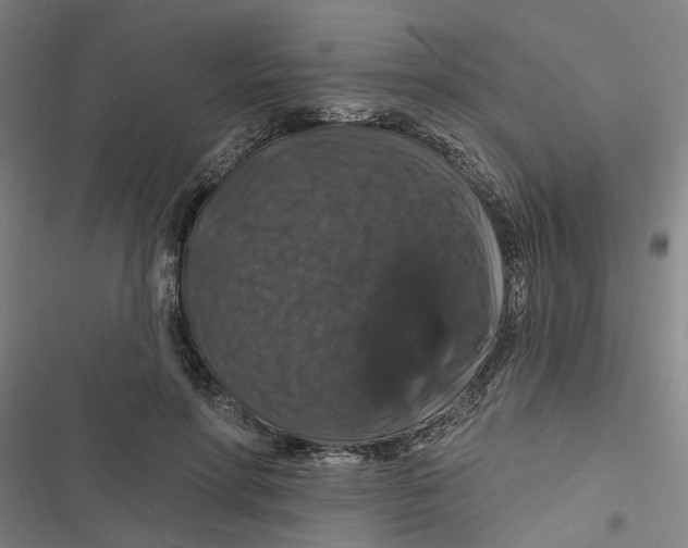 X0000116870598201001191724