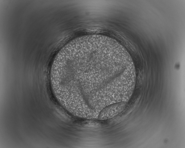 X0000116870601201001191724