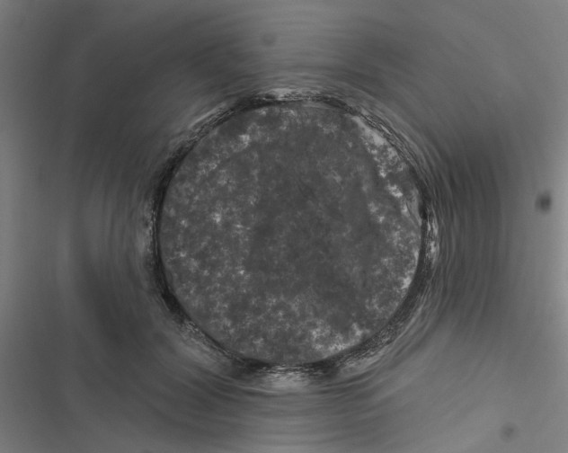 X0000116870604201001191724