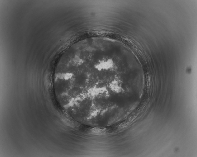 X0000116870606201001191724