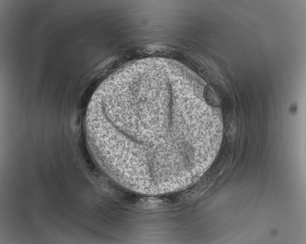 X0000116870607201001191724