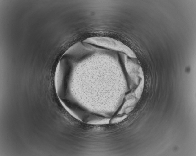 X0000116870609201001191724
