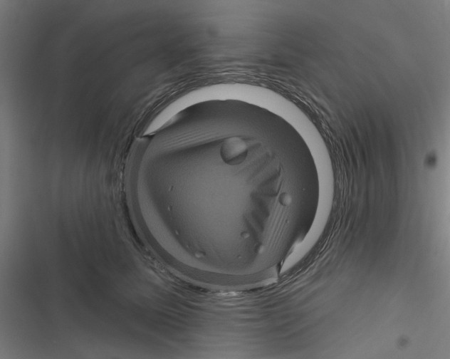 X0000116870611201001191724