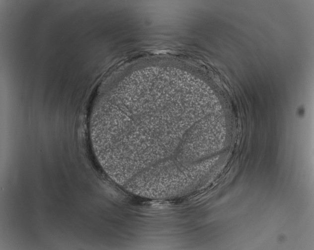 X0000116870612201001191724