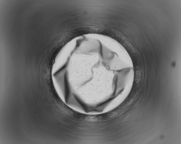 X0000116870613201001191724