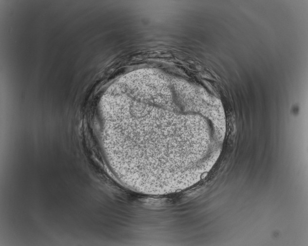 X0000116870615201001191724
