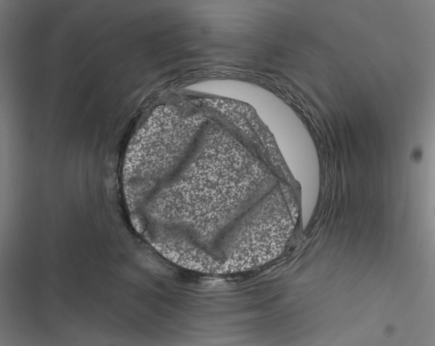 X0000116870616201001191724