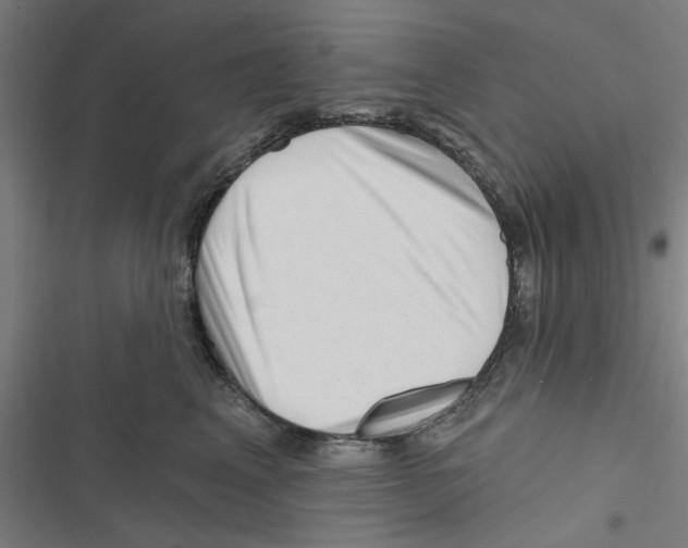 X0000116870617201001191724