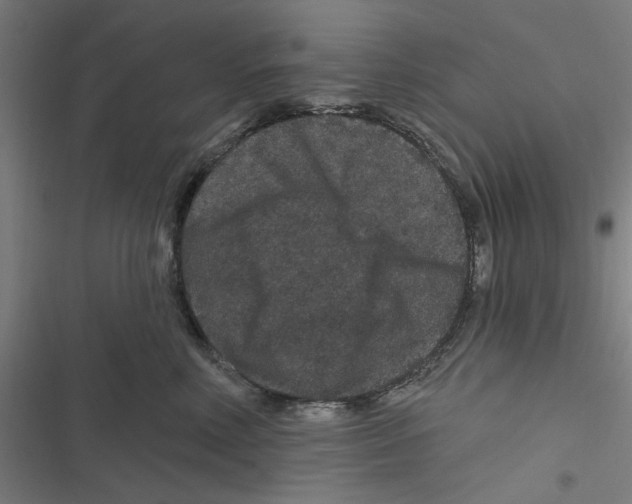 X0000116870618201001191724
