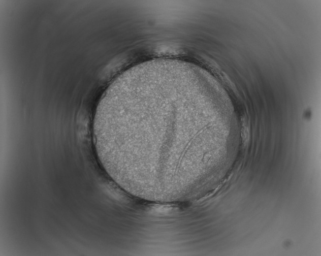 X0000116870619201001191724