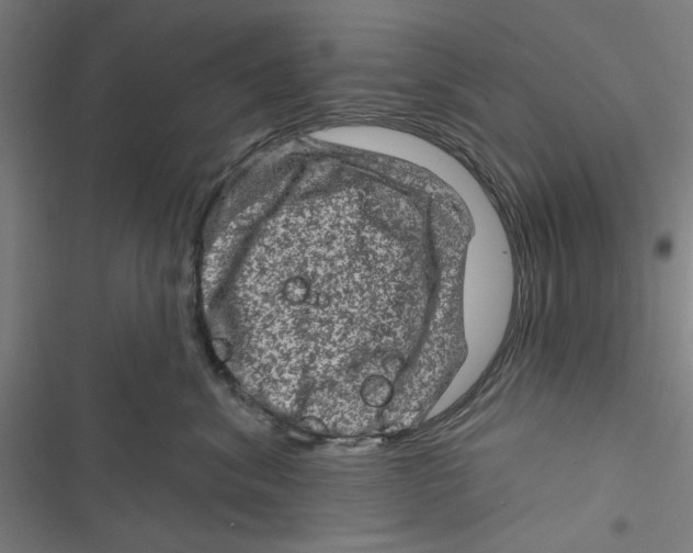 X0000116870620201001191724