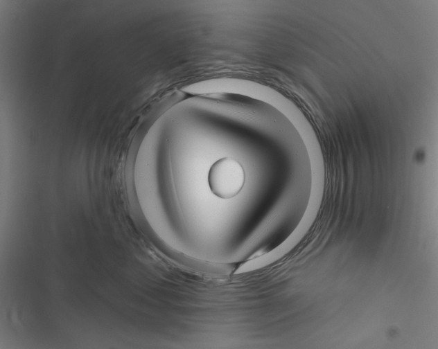X0000116870621201001191724