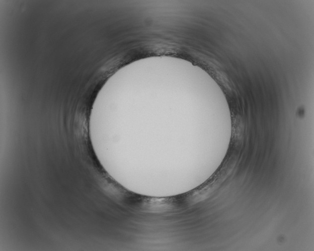 X0000116870622201001191724
