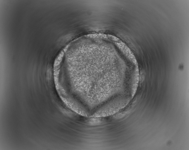 X0000116870623201001191724