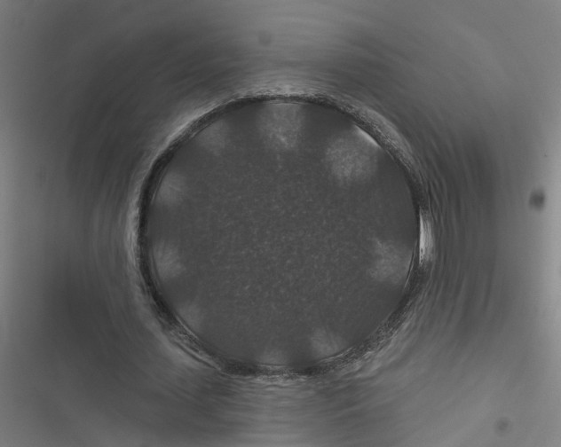 X0000116870627201001191723