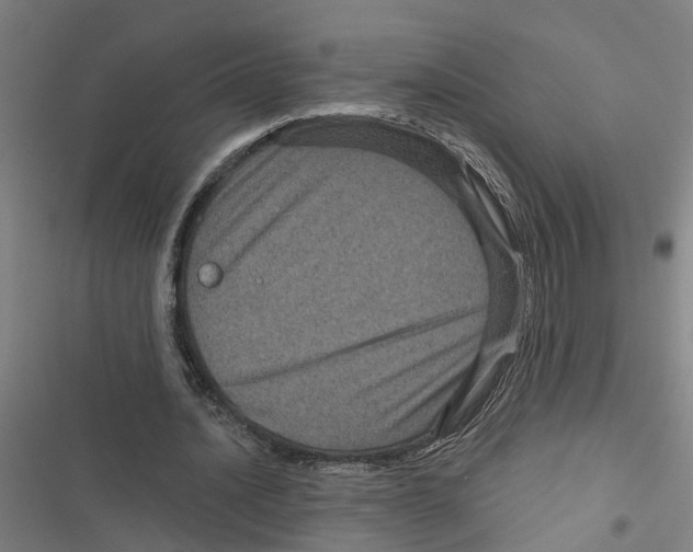 X0000116870628201001191723
