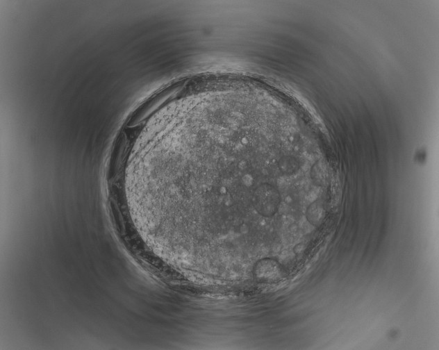 X0000116870629201001191723