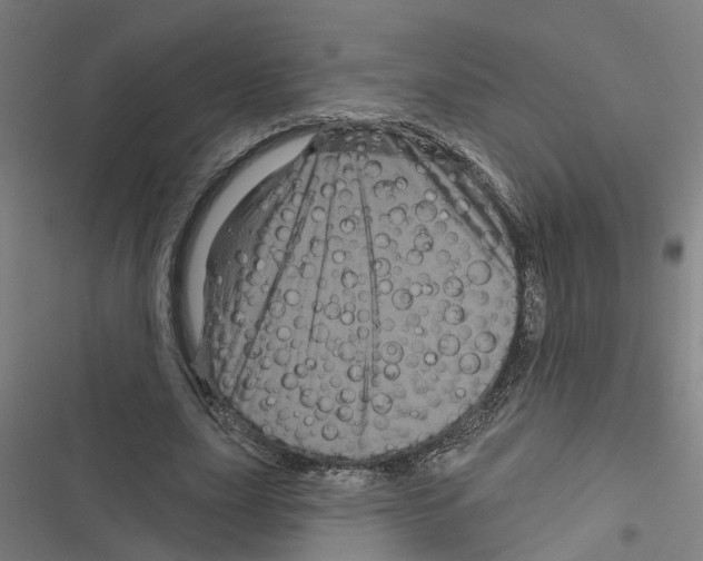 X0000116870631201001191723