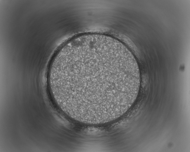 X0000116870632201001191723