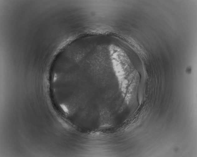 X0000116870634201001191723