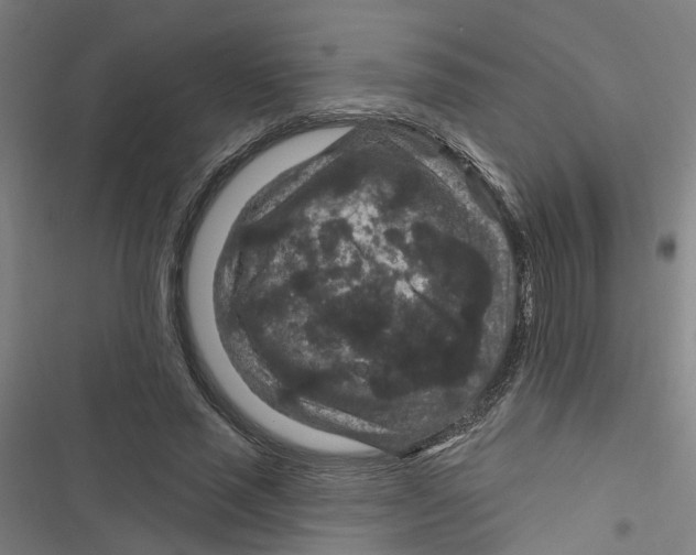 X0000116870637201001191723