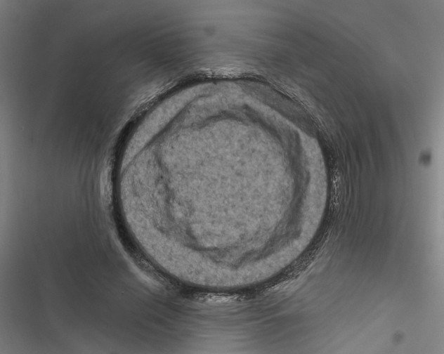 X0000116870638201001191723