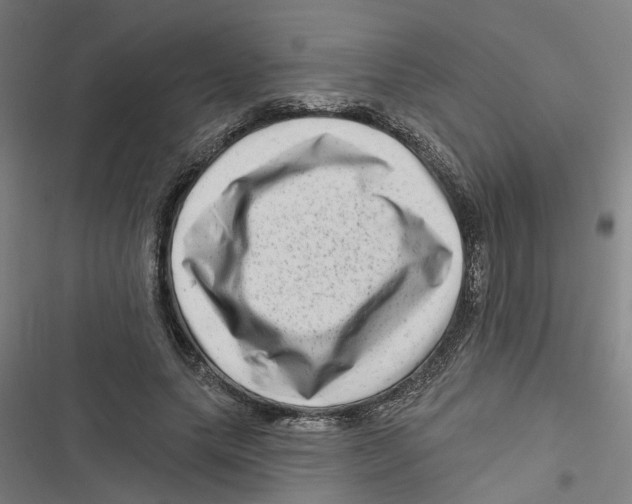 X0000116870639201001191723