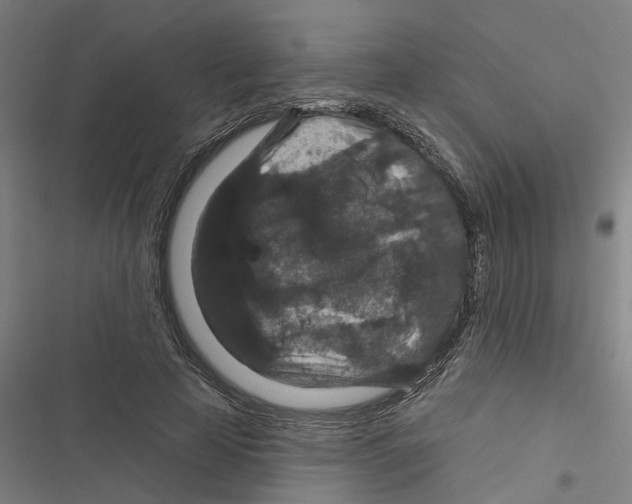 X0000116870641201001191723