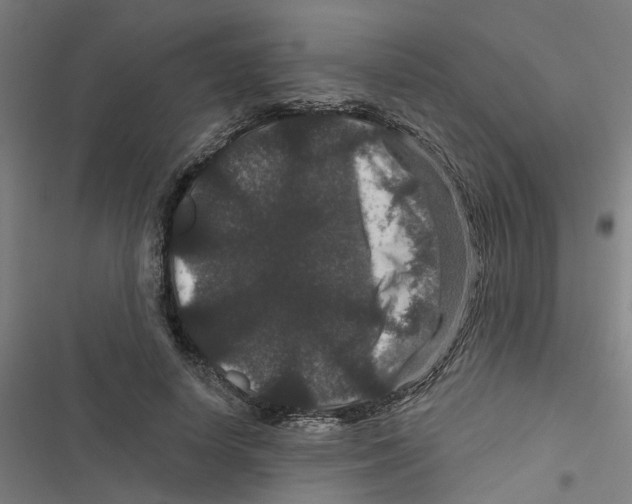 X0000116870642201001191723
