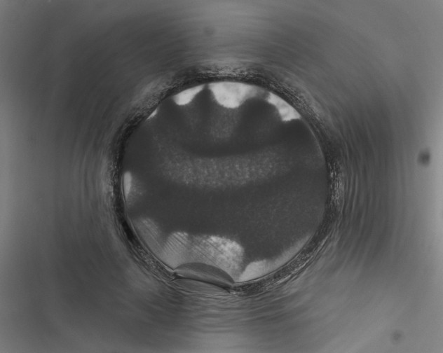 X0000116870643201001191723