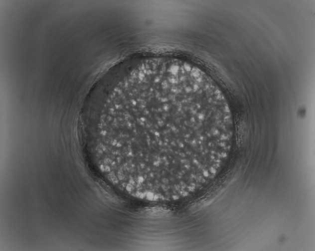 X0000116870644201001191723