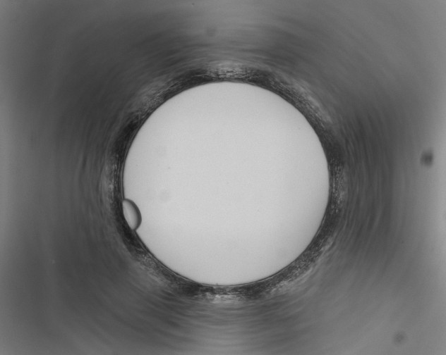 X0000116870645201001191723