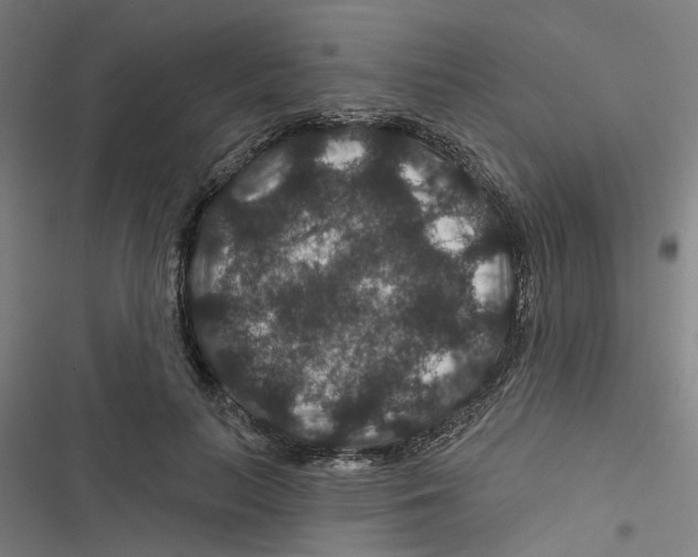 X0000116870647201001191723