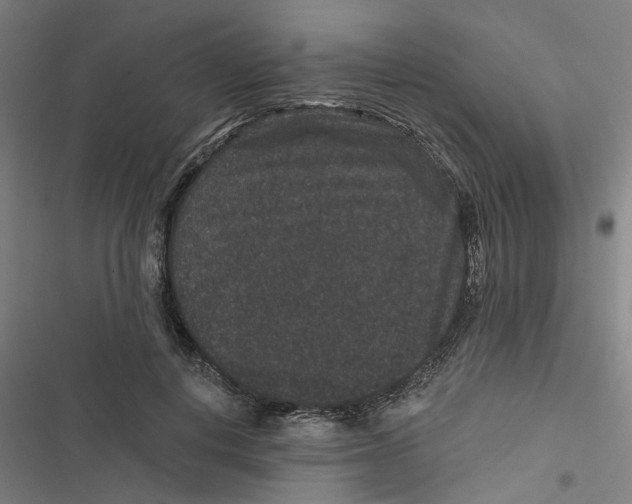 X0000116870648201001191723