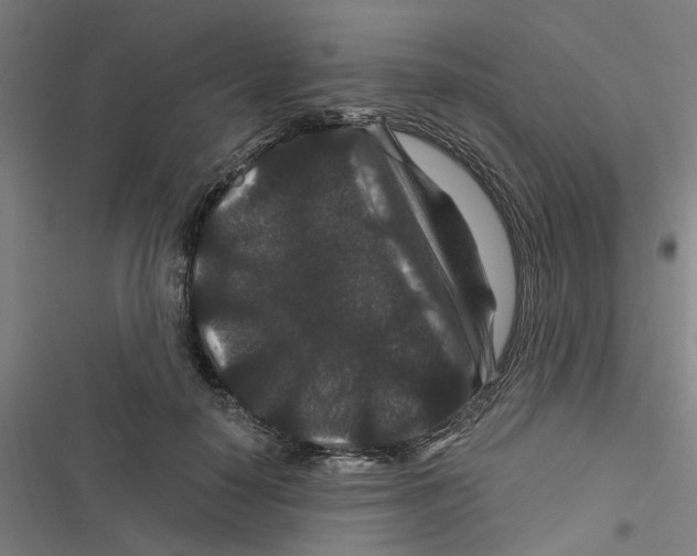 X0000116870650201001191723