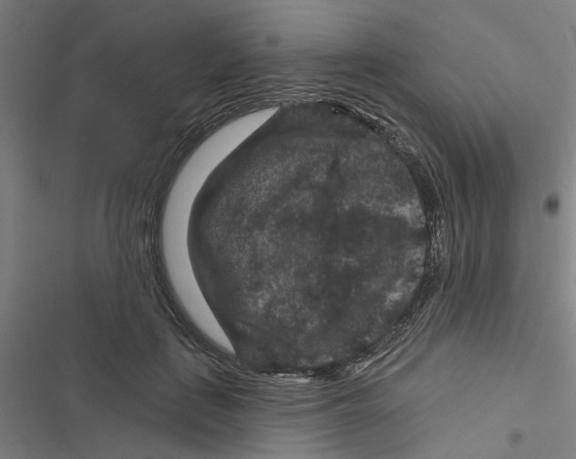 X0000116870651201001191723