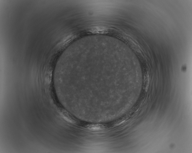 X0000116870652201001191723