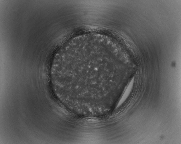X0000116870653201001191723