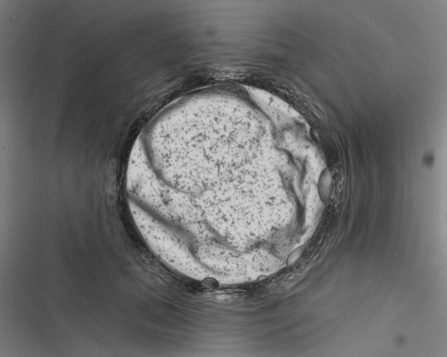 X0000116870655201001191723