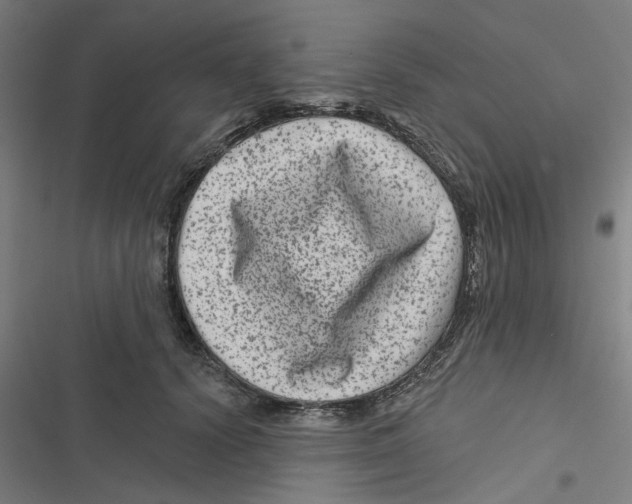 X0000116870656201001191724